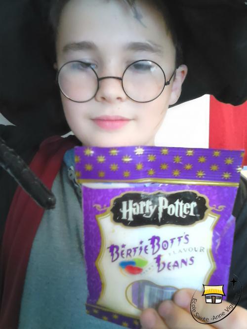 Projet Harry Potter - Classe de CM2